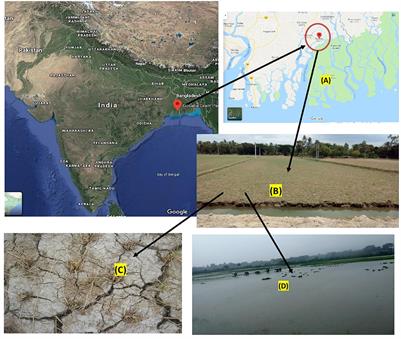 Cropping system intensification for smallholder farmers in coastal zone of West Bengal, India: A socio-economic evaluation